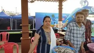 @Goencho news:- Fresh fish available at Campal Aqua goa mega fish festival