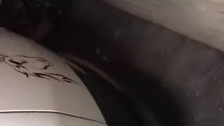54814