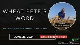 Wheat Pete&rsquo;s Word, June 26: Snorkelling oats, rapid growth syndrome, and a plan for fusarium