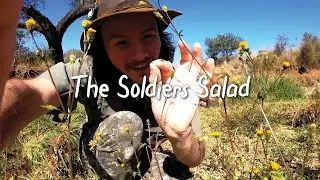 African Ranger Secrets: Pest and