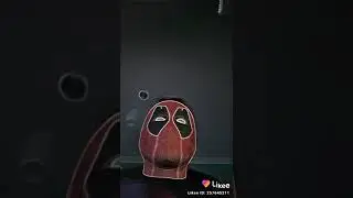 Densa  de dipu
