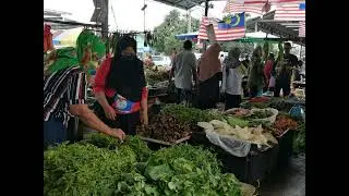Pandamaran cycling