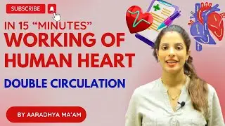 Working of Human Heart Life Processes | NCERT Science Class 10