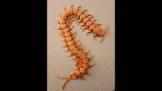 🐛 LIVE 3D PRINT &ndash; Articulated Centipede Toy on Elegoo Neptune 4 Pro! 🐛