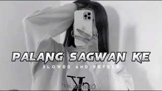 Palang Sagwan Ke ( slowed and reverb ) khesari lal yadav, bhojpuri lofi, song