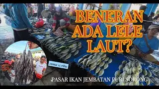 Beneran Ada Lele Laut? Harga Cuma 15 Ribu Per Ikat di Pasar Ikan Jembatan Puri Sorong #papua