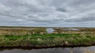 Loch of Strathbeg Kuş Cenneti | Scotland’s Hidden Wildlife Paradise