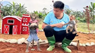 Smart monkey helps dad garden | Boo and Bim Monkey