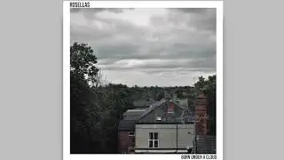 Rosellas - Maybe Twice (Official Audio)