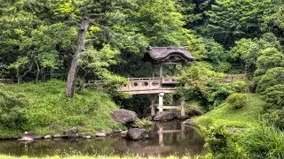 1 Hour Alpha Waves Meditation Music