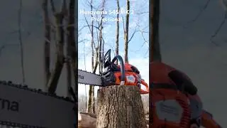 Husqvarna 545 MK 2 Professional #husqvarna #short #shorts #video #chainsaw #trending #tools