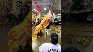 On Ngai/Jiu Long joint lion dance 2