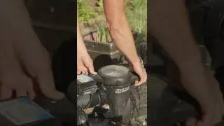How a Pool Pump Works #poolcleaning #poolservice
