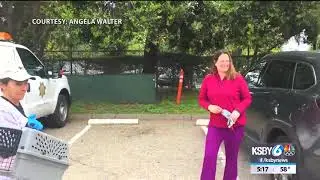 ASAP Cats holds drive-thru foster event