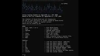 ddos raven-storm