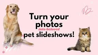 Pet Slideshow Example