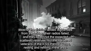 Arnhem's 10,000: The 1st Airborne's Nine-Day Stand