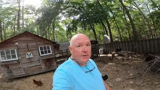 Tammy's Chicks Go Big Time