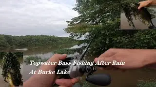 Topwater Bass Fishing After Rain At Burke Lake