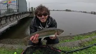 UK Rainbow trout fishing in Walthamstow Reservoirs.