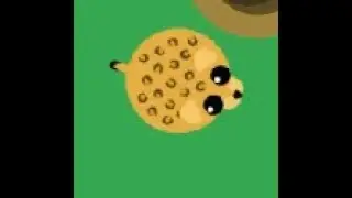 Mope.io...am I rare ?