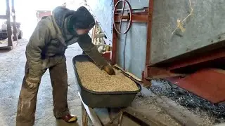 Jim eats OATS like his Horses!!! #884
