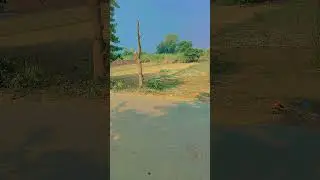 #yosho