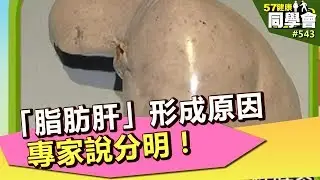 「脂肪肝」形成原因 專家說分明！【57健康同學會】第543集 2012年