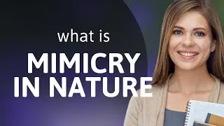 Mimicry in Nature: The Art of Camouflage and Survival