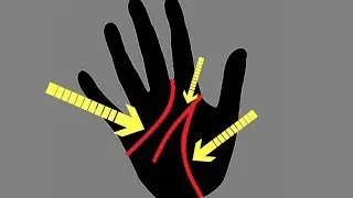 Do You Know The Meaning Of These Major Lines In Your Hand?-Palmistry