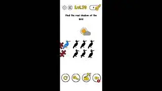 Trick Me Level 70 | Trick Me Find the real shadow of the bird