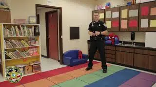 ALICE for Elementary