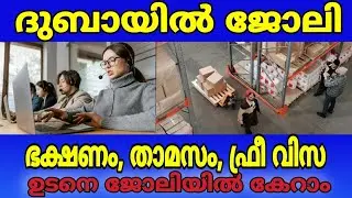 Dubai job vacancy 2026 | UAE jobs Malayalam| Gulf jobs Malayalam | Dubai jobs| Today gulf jobs