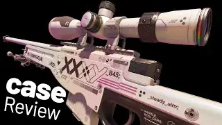Fever Case CS2 Skin Review