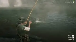 RDR2 (Legendary Steelhead Trout)