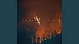 The Burning