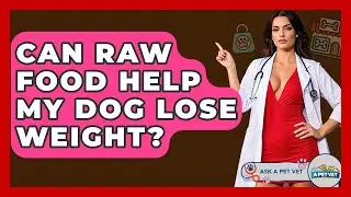 Can Raw Food Help My Dog Lose Weight? - Ask A Pet Vet