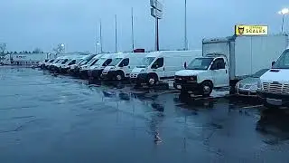 Expedite Van Breeding Ground
