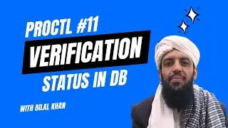 proctl 11 | Database Integration for Email Verification Status