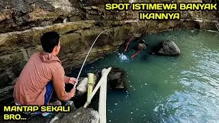 Mantap.! Mancing Nilem Umpan Lumut Spotnya Luar biasa #LM07