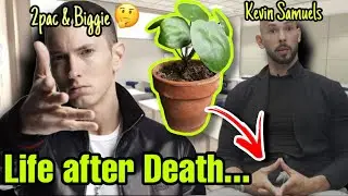 Mr. Goodbread Goes Viral After Calling ANDREW TATE red pill version of Eminem