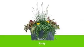 Winterbeplanting Huyskweker Stouten