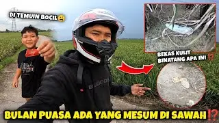 NEMUIN K0ND*M DI SAWAH ⁉️ BULAN PUASA ADA YANG MESUM ⁉️DI ANTARA KALIAN YA PELAKUNYA ‼️