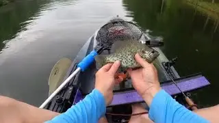 Greenbo Lake - epic day fly fishing for bluegills @OldManbytheSeaProductions #flyfishing