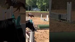 sweet risennn| #horse #equestrian #sunnysideup