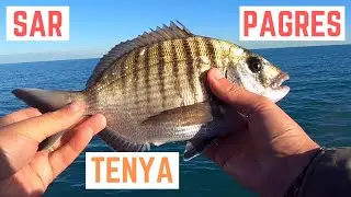SAR et PAGRES au TENYA
