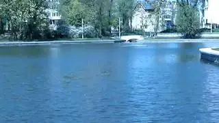 MOV02424.MPG