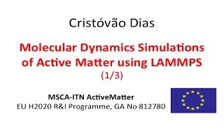 Molecular Dynamics Sim. of Active Matter u. LAMMPS - 1/3 - Crist&oacute;v&atilde;o Dias - MSCA-ITN ActiveMatter