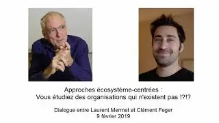 Approches écosystème-centrées : Vous étudiez des organisations qui n'existent pas !?!?