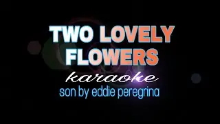 TWO LOVELY FLOWERS eddie peregrina karaoke